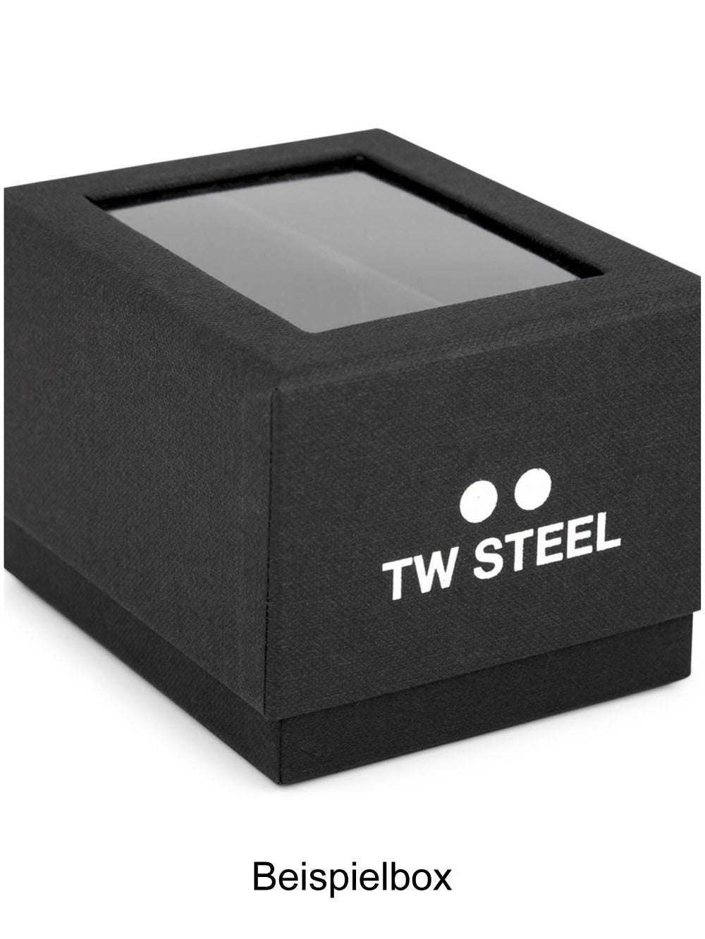 TW Steel MS31 Maverick 45mm 10 ATM